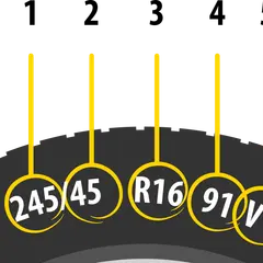 Rozmiar opony: 245/45 R16 91V. Wyjaśnienie parametrów opony.