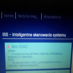 Błąd sondy lambda: przerwa w obwodzie i niskie wskazania. Jak sprawdzić sondę lambda? Komputer diagnostyczny pokazuje problemy.