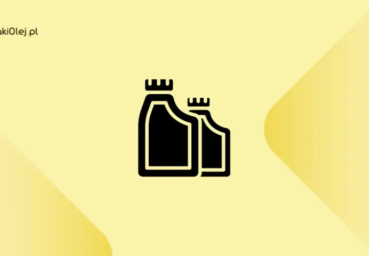 Dwa czarne kanistry symbolizujące wybór: olej 5w30 czy 5w40.